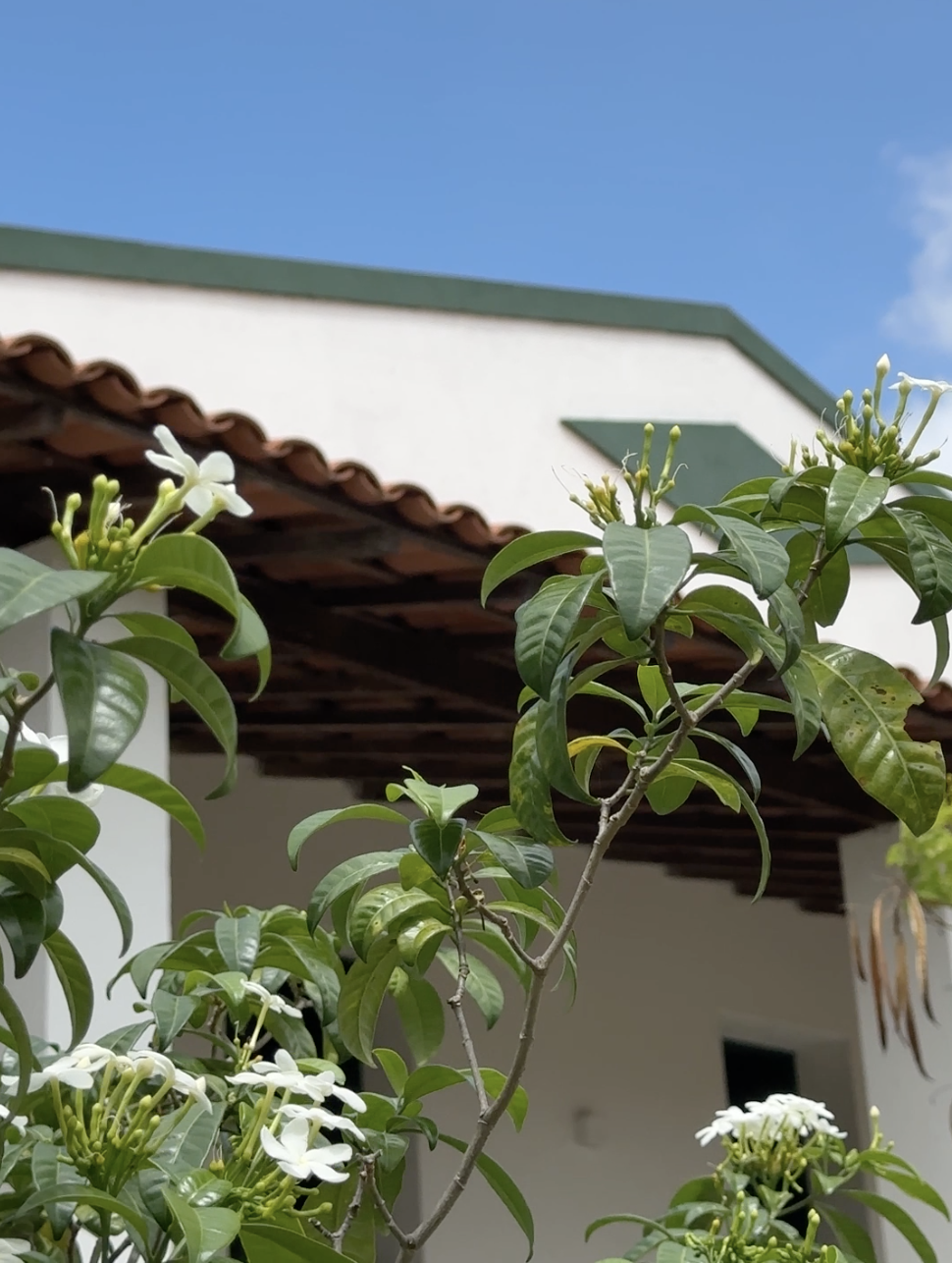 Fazenda de 335 hectares