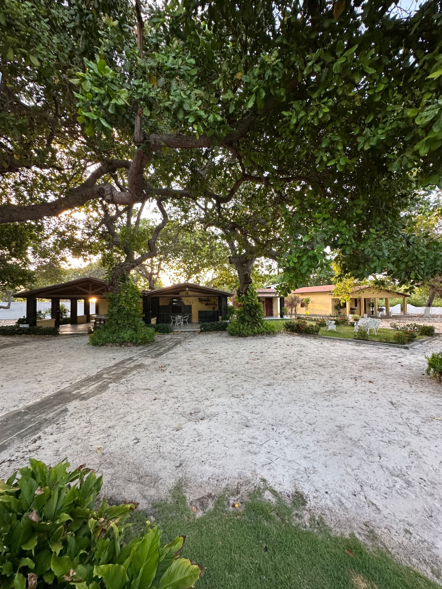 Haras de 4,5 hectares